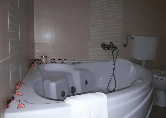 Motel Dvorac Ivanovic Koceljeva